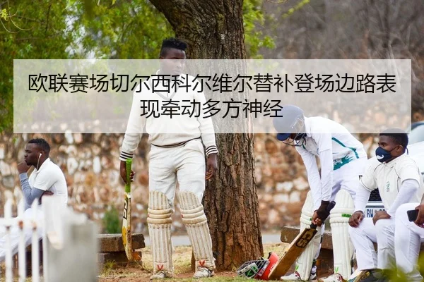ou-lian-sai-chang-qie-er-xi-ke-er-wei-er-ti-bu-deng-chang-bian-lu-biao-xian-qian-dong-duo-fang-shen-jing-2-387.jpg